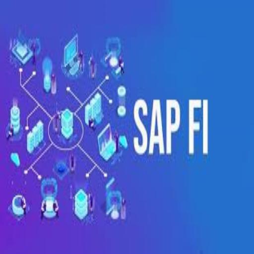 Curso Manejo de SAP FI